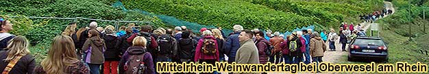 Weinwanderung beim Mittelrhein-Weinwandertag bei Oberwesel am Rhein